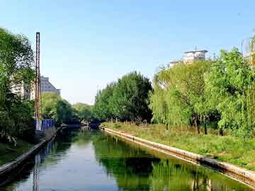 上海品茶网：Beautiful scroll! Leave behind beautiful memories in Shanghai's backyard!