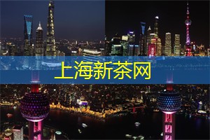 上海各区新茶工作室：上海各大体育赛事的观赛攻略